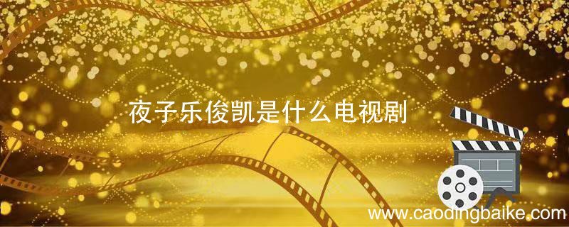 夜子乐俊凯是什么电视剧 乐俊凯是哪部电视剧