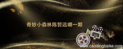 奇妙小森林陈哲远哪一期 奇妙小森林陈哲远是哪一期来的