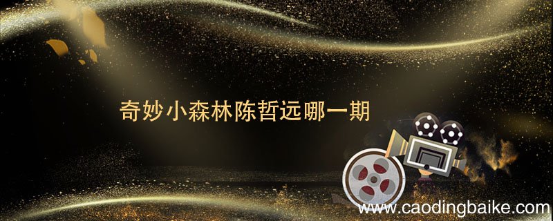 奇妙小森林陈哲远哪一期 奇妙小森林陈哲远是哪一期来的