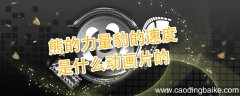 熊的力量豹的速度是什么动画片的 熊的力量是哪部动画片