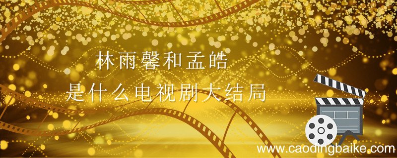 林雨馨和孟皓是什么电视剧大结局 孟浩林雨馨是哪部电视剧
