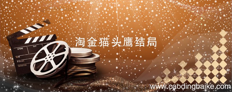 淘金猫头鹰结局 电视剧淘金猫头鹰是什么结局