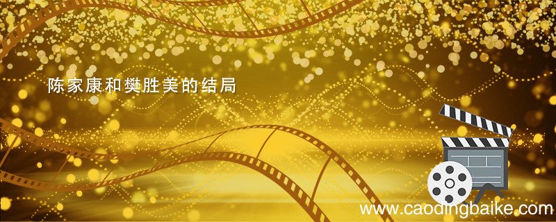 陈家康和樊胜美的结局 陈家康和樊胜美结局在一起吗