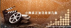 小舞真正复活是第几集 小舞是第几集复活的