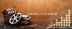 火影忍者二人小队是第几集 火影忍者二人小组是多少集?