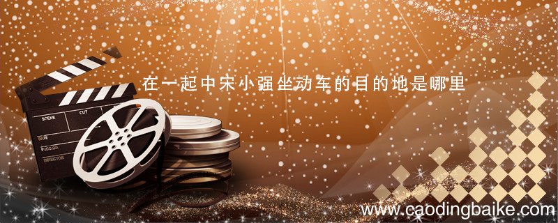 在一起中宋小强坐动车的目的地是哪里 在一起中宋小强坐动车去哪里