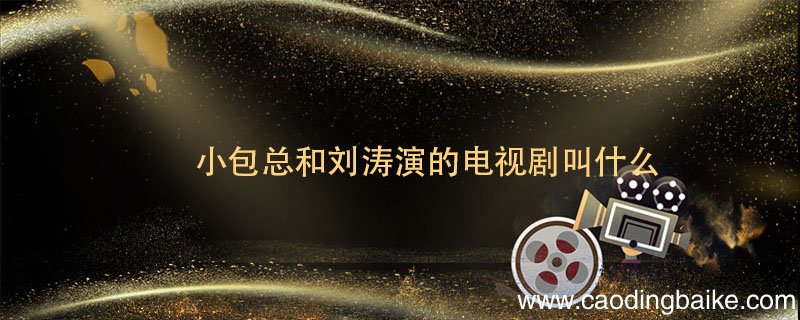 小包总和刘涛演的电视剧叫什么 小包总和刘涛演的电视剧叫什么名字