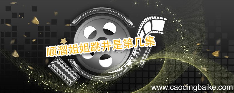 顺溜姐姐跳井是第几集 顺溜姐姐死是哪一集