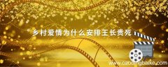 乡村爱情为什么安排王长贵死 乡村爱情之王长贵去世