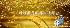 叶晓薇是哪部电视剧 叶晓薇是什么电视剧