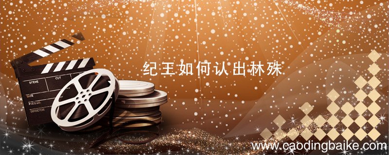 纪王如何认出林殊 纪王怎么认出林殊