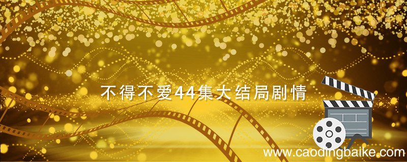 不得不爱44集大结局剧情 电视剧不得不爱大结局