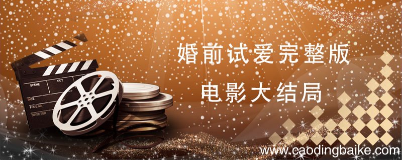 婚前试爱完整版电影大结局 婚前试爱结局是什么