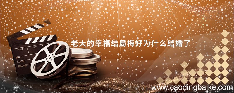 老大的幸福结局梅好为什么结婚了 老大的幸福梅好结局怎么样 梅好和老大到一起了吗