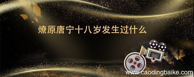 燎原唐宁十八岁发生过什么 燎原唐宁十八岁发生了什么