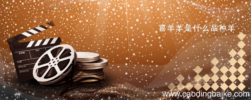 喜羊羊是什么品种羊 喜羊羊是什么种类的羊