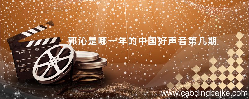 郭沁是哪一年的中国好声音第几期 郭沁是来自哪一年的中国好声音第几期