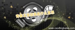 青春王室结局是什么意思 青春王室结局是什么