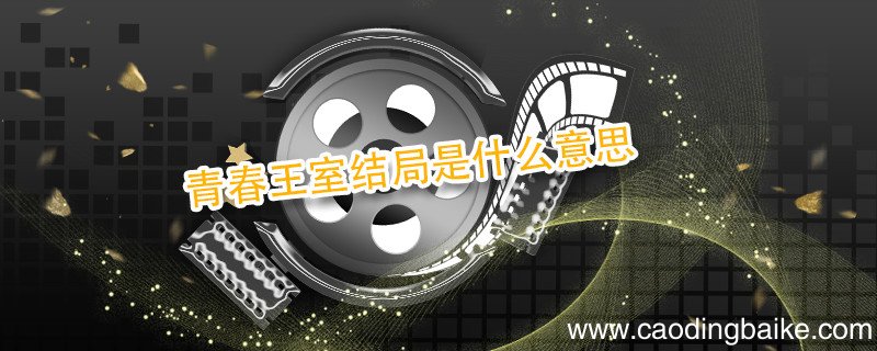 青春王室结局是什么意思 青春王室结局是什么