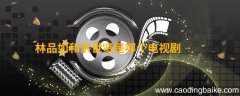 林品如和洪世贤是哪个电视剧 林品如洪世贤是什么电视