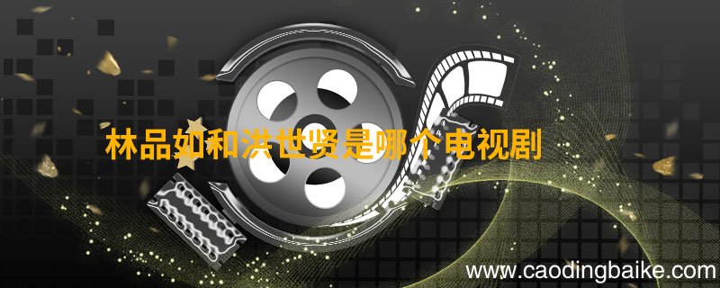 林品如和洪世贤是哪个电视剧 林品如洪世贤是什么电视