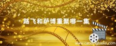 路飞和萨博重聚哪一集 路飞和萨博重聚是哪一集