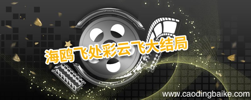 海鸥飞处彩云飞大结局 海鸥飞处彩云飞大结局剧情简介