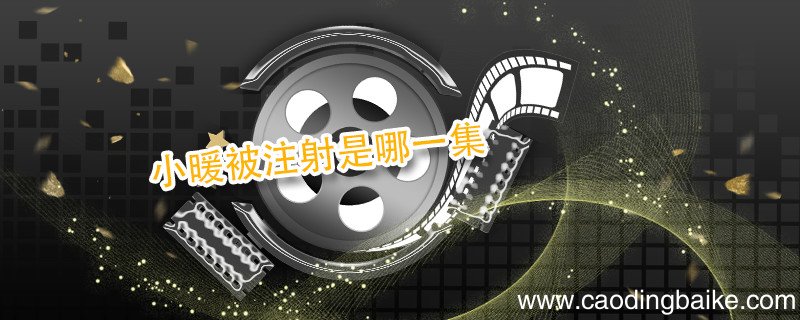 小暖被注射是哪一集 给小暖打针是第几集