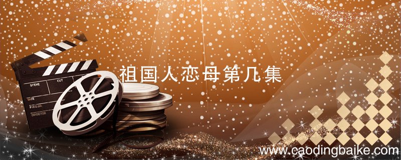 祖国人恋母第几集 祖国人介绍