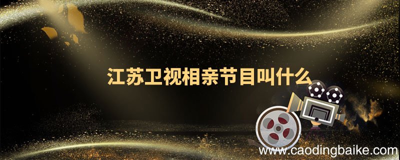 江苏卫视相亲节目叫什么 江苏卫视相亲节目是什么