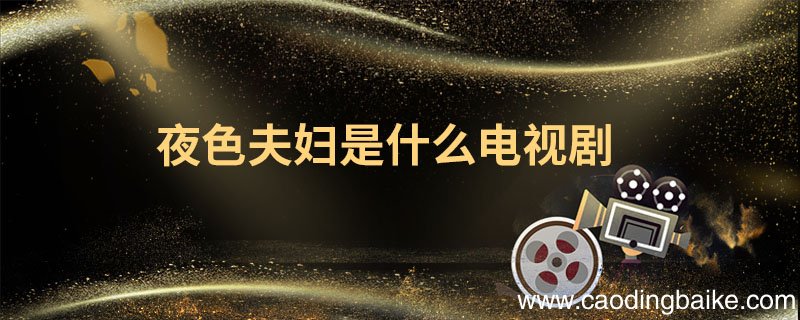 夜色夫妇是什么电视剧 夜色夫妇的由来