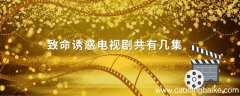 致命诱惑电视剧共有几集 致命诱惑电视剧一共有几集