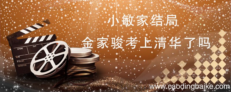 小敏家结局金家骏考上清华了吗 小敏家结局金家骏有没有考上清华