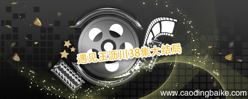 遇见王沥川38集大结局 遇见王沥川38集大结局剧情