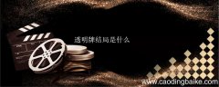 透明牌结局是什么 透明牌的结局是什么意思