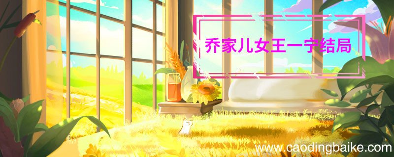 乔家儿女王一宁结局 乔家儿女王一宁结局是什么