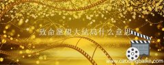 致命愿望大结局什么意思 致命愿望的剧情是什么