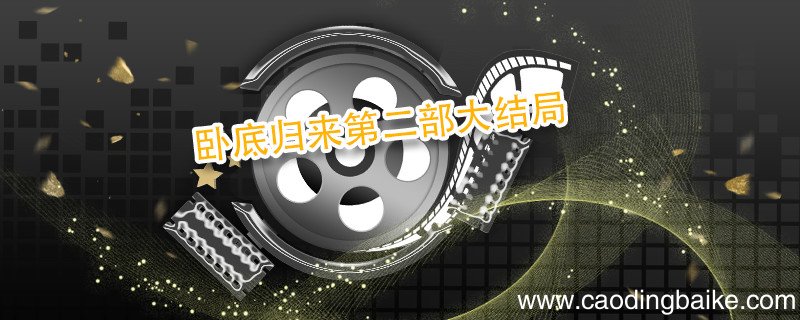 卧底归来第二部大结局 卧底归来第二部结局是什么