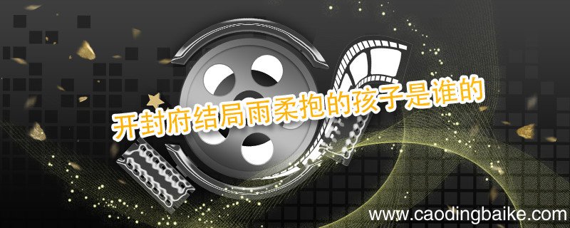 开封府结局雨柔抱的孩子是谁的 开封府雨柔抱着谁的孩子