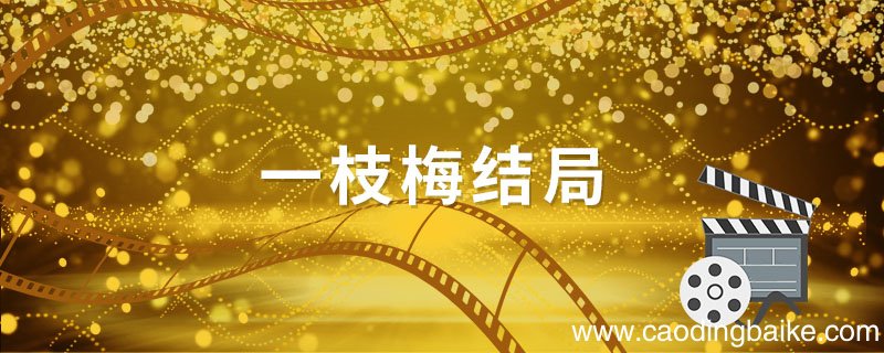 一枝梅结局 一枝梅是什么电视