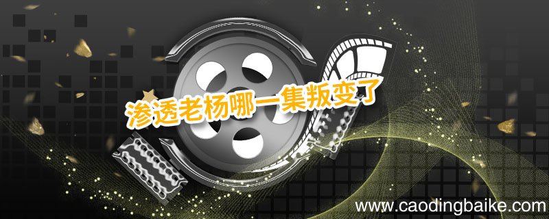 渗透老杨哪一集叛变了 渗透老杨结局