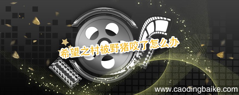 希望之村被野猪咬了怎么办 希望之村是什么游戏