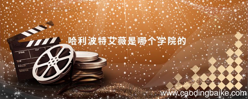 哈利波特艾薇是哪个学院的哈利波特艾薇是属于哪个学院的