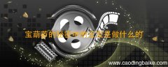 宝葫芦的秘密中的王宝是做什么的 王保是做什么的 宝葫芦的秘