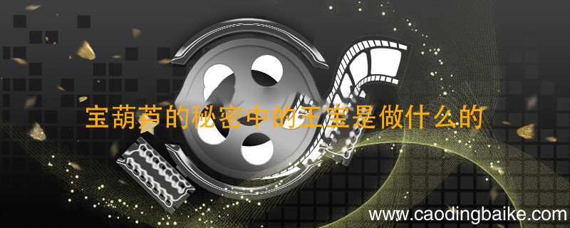 宝葫芦的秘密中的王宝是做什么的 王保是做什么的 宝葫芦的秘密主要内容是什么