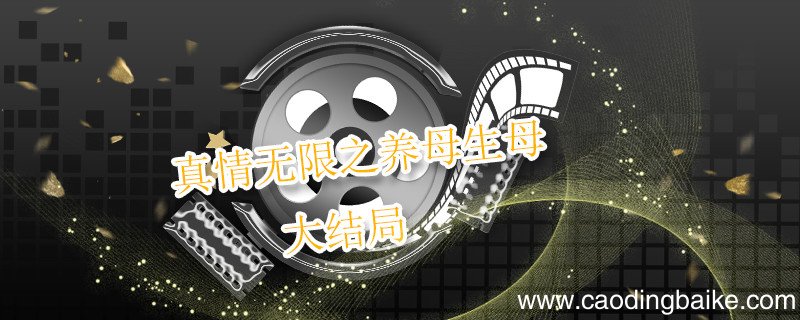 真情无限之养母生母大结局 真情无限之养母生母剧情介绍