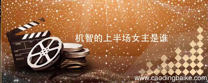 机智的上半场女主是谁 机智的上半场女主角介绍