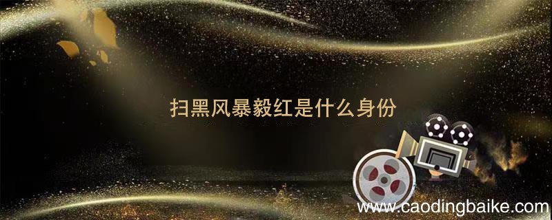 扫黑风暴毅红是什么身份 扫黑风暴毅红是干什么的