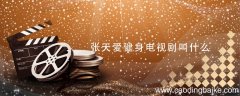 张天爱健身电视剧叫什么 张天爱健身的电视剧