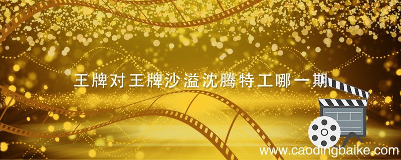 王牌对王牌沙溢沈腾特工哪一期 王牌对王牌沈腾沙溢间谍哪期